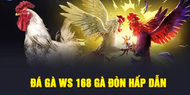 Đá Gà Ws168 SV388